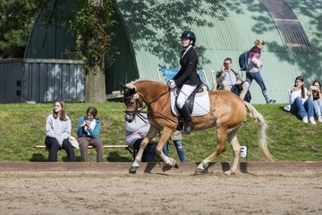 Bild 236 - Pony Akademie Turnier